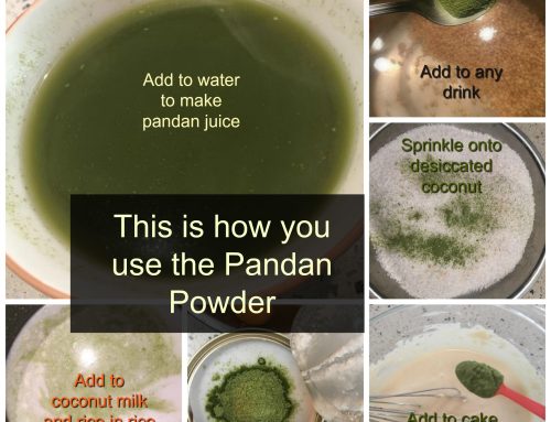 Pandan – What is it? How to use it and what are the benefits?
